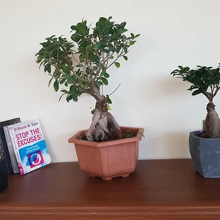 Mansion Ideal For 3 Families Or فيلة لارنكا