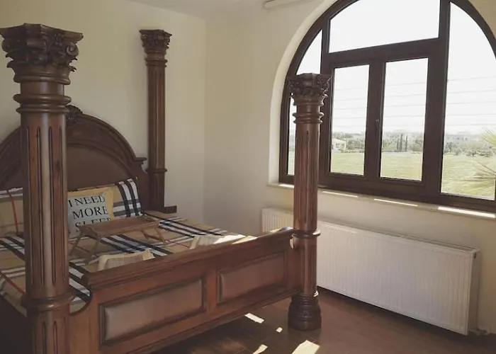 Mansion Ideal For 3 Families Or *