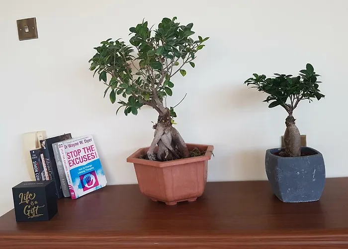 Mansion Ideal For 3 Families Or Vila Larnaca